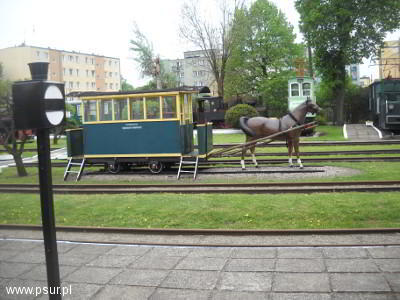 Wagon ciągnięty przez konia
