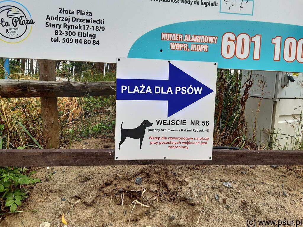 Tablica informująca o położeniu plaży dla psów - przy zejściu nr 56