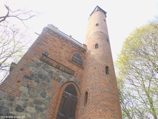 Zamek Myśliwski - Wieża Odyniec